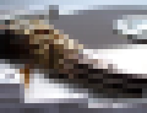 Photo Všetky knihy na jednej známke. Pevný disk z chlóru a medi s hustotou záznamu 500 terabitov na štvorcový palec.