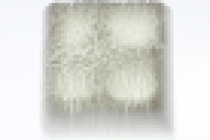 Photo Tlačené 3D štruktúry podobné vlasom ukazujú budúcnosť programovateľných materiálov