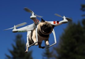 Photo Najväčšie online technohity – fičia drony a powerbanky