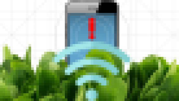 Photo Nie je to prvý apríl. Nanobionický špenát dokáže detegovať výbušniny