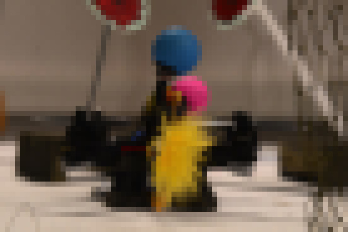 Photo Príroda je zachránená. Po vyhynutí včiel budú kvety opeľovať roboty