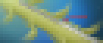 Photo Riešenie pre ochrnutých pacientov. Stimulátor dokáže obísť poškodené stavce chrbtice a rozhýbať končatiny  