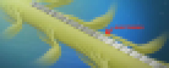 Photo Riešenie pre ochrnutých pacientov. Stimulátor dokáže obísť poškodené stavce chrbtice a rozhýbať končatiny  