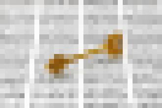 Photo Projekt Factom, kryptomeny a potenciál ich využitia v súkromnom a verejnom sektore