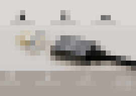 Photo Volta: Jeden magnetický nabíjací kábel pre všetky zariadenia. Odolá aj drsnému zaobchádzaniu.