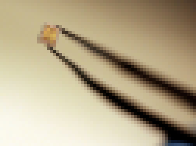 Photo Terahertzové mikročipy umožnia nový pohľad cez hmotu. Využijú ich lekári aj farmaceuti. 