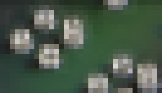 Photo Miniatúrna kamera so štyrmi šošovkami „vidí“ ako orol 