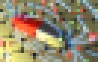 Photo Českí vedci ako prví vyrobili nekovový magnet. Možnosti využitia budú obrovské 