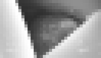 Photo Vaječníky vytvorené 3D tlačou umožnili myšiam priviesť na svet zdravé potomstvo 