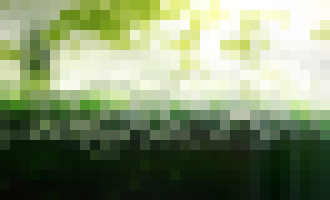 Photo ExxonMobil hlási prielom v oblasti biopalív z rias 