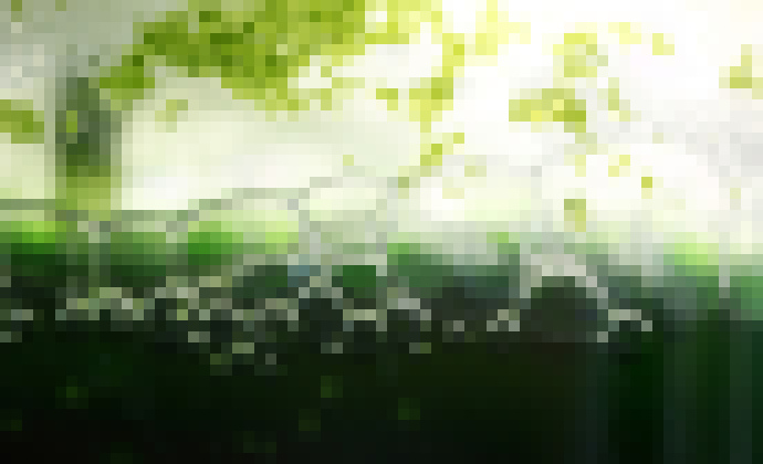 Photo ExxonMobil hlási prielom v oblasti biopalív z rias 