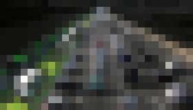 Photo Hyperlane – špeciálny jazdný pruh pre autonómne vozidlá jazdiace rýchlosťou cez 160 km/h 