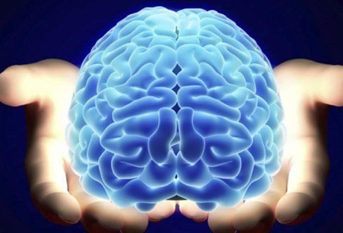 Photo 6 rozšírení mozgu, ktoré nám do roku 2030 umožnia pracovať rýchlejšie a inteligentnejšie 