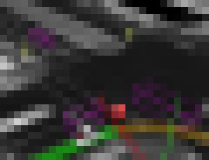 Photo  Armáda ľudí učí pomocou telefónov umelú inteligenciu riadiť auto 