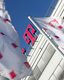 Photo Čistý zisk Deutsche Telekom medziročne stúpol o takmer 41 %