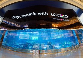 Photo LG predstavuje najväčší oledový obraz na svete