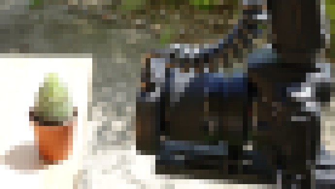 Photo Návody: Makrofotografia – čo dokážu špeciálne objektívy  