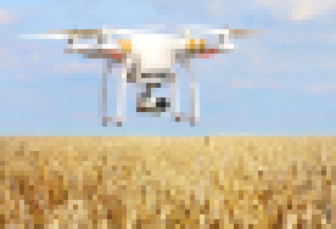 Photo Včely, kravy či voda. Všetko bude pripojené na internet vecí