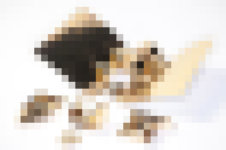 Photo Začiatok Transformerov. Robot Primer sa oblieka do skladateľného exoskeletu 