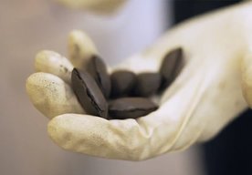 Photo Obnoviteľné „instantné uhlie“ by mohlo byť palivom budúcnosti  