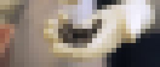 Photo Obnoviteľné „instantné uhlie“ by mohlo byť palivom budúcnosti  