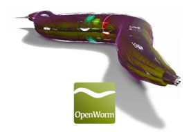Photo Vedci vložili „virtuálny mozog“ červa do robota zhotoveného z lega