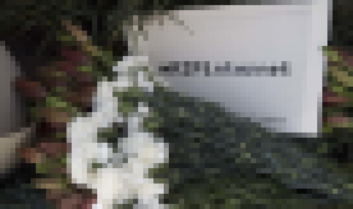 Photo V USA zrušili sieťovú neutralitu. Zvýšia sa účty za pripojenie na internet či pozeranie videa? 