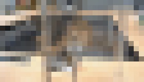 Photo Sherlock oslavuje 30 rokov