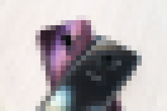 Photo Samsung začína predávať 256GB verziu Galaxy S9 a S9+