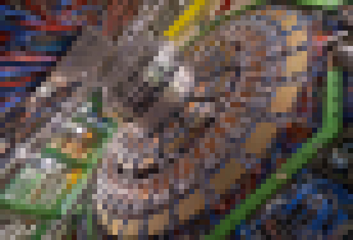 Photo Začínajú práce na zvýšení luminozity veľkého hadrónového urýchľovača