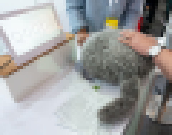 Photo Mojkanie s robotickou mačkou a ďalšie zaujímavosti na CeBITe