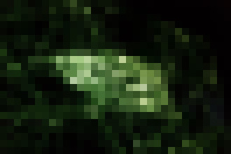 Photo Umelá inteligencia nVidie a MIT dokáže vyčistiť aj zašumené fotografie