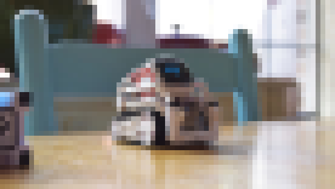 Photo Robot Vector sa bude dať kúpiť ako domáci spoločník už za 250 dolárov