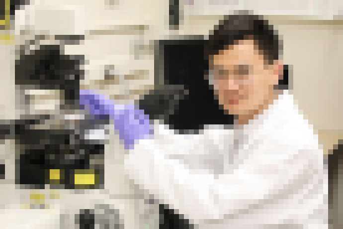 Photo Nová zbraň proti rakovine. Magnetické pinzety umožňujú manipuláciu s nanobotmi vnútri bunky