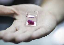 Photo Výskumníci vytlačili nové 3D srdce z vlastných buniek pacienta