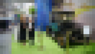 Photo Autosalón 2019 Bratislava dnes otvoril svoje brány a vy ho môžete zažiť aj s PC REVUE