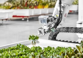 Photo Robotická farma Iron Ox začala predávať svoje produkty. Ich listová zelenina je však zatiaľ drahšia
