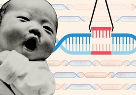 Photo Deti s upravenými génmi pomocou CRISPR môžu zomrieť skôr