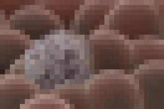 Photo Laser dokáže zničiť rakovinové bunky priamo v krvnom obehu a zabrániť tvorbe metastáz