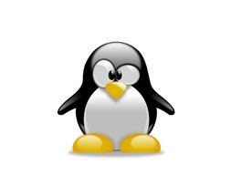Photo Linux súkromne i pracovne v2.0 (41. časť) / Git branching a merging
