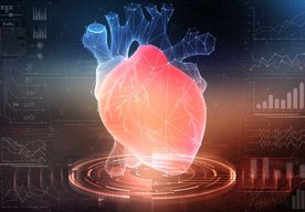 Photo 3D biotlač smeruju plnohodnotne fungujúcim častiam srdca