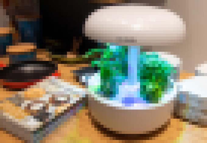 Photo Pestovanie byliniek a drobnej zeleniny priamo v kuchyni