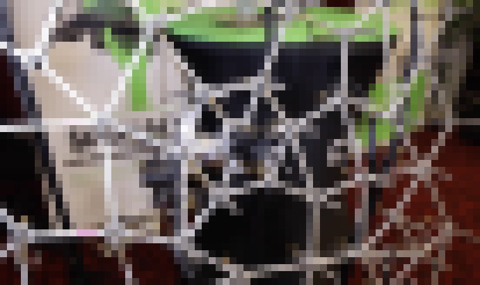 Photo Akustická kamera - ako funguje a na čo sa používa