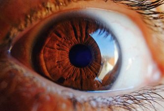 Photo Vedci prekonali ďalšiu prekážku na ceste k umelej očnej sietnici
