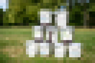 Photo CZ: Panasonic TOUGHBOOK nabáda svojich distribučných partnerov, aby pomohli vysadiť vyše 1000 stromov