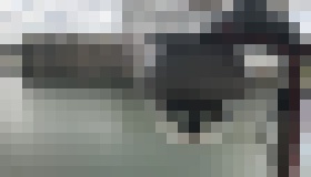 Photo Q4 Security je premium partnerom Panasonic Business