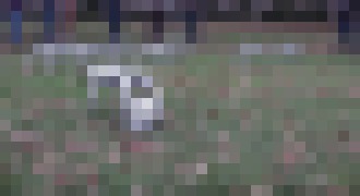 Photo Video: inžinieri vypustili roboty Mini Cheetah pohrať sa vonku