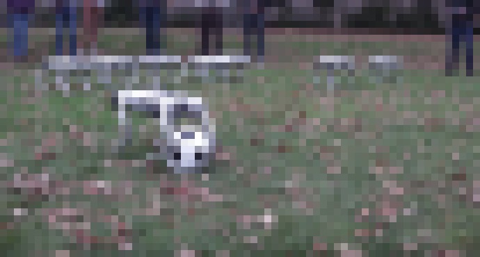 Photo Video: inžinieri vypustili roboty Mini Cheetah pohrať sa vonku