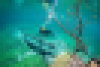 Photo Algoritmus dokáže odstrániť vodu zo snímok zhotovených pod vodou. Výsledky sú výborné