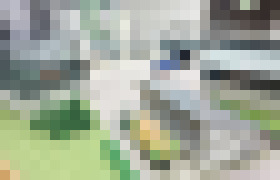 Photo Vo Wunsiedeli urobili malú revolúciu